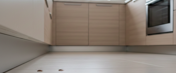 Disinfestazione a Pavia: infestazioni domestiche più comuni e come intervenire